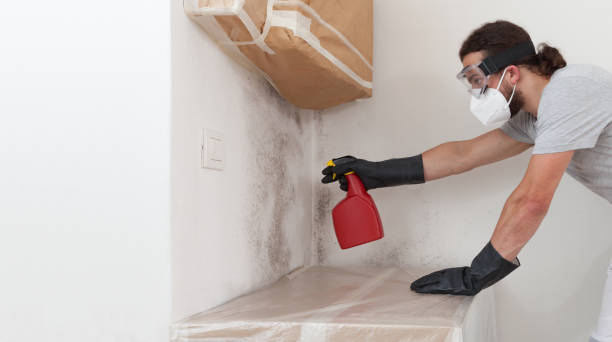 Professional Bathroom Mold Removal technician working in Riverdale, IL