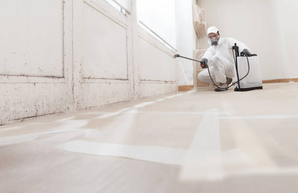 24/7 Emergency Bathroom Mold Removal experts in Riverdale, IL